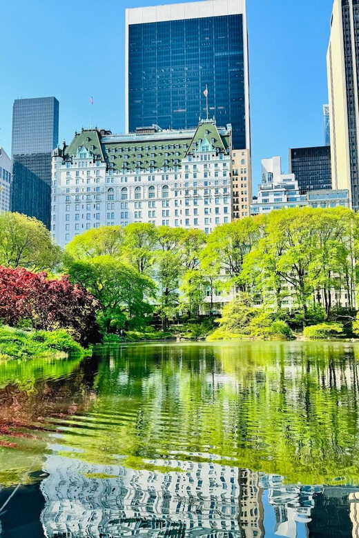 NYC: Central Park Pedicab Tour with Photo Stops - The Ride — Comfort and Convenience