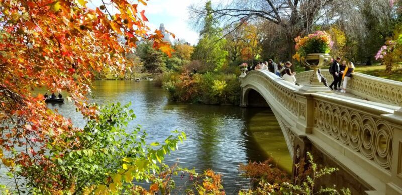 NYC: Central Park Secrets and Highlights Walking Tour - A Deep Dive Into the Tour Experience