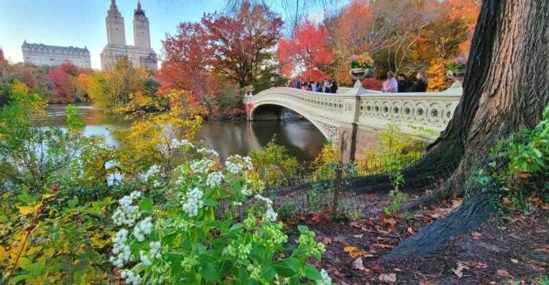 NYC: Central Park Secrets and Highlights Walking Tour - The Sum Up
