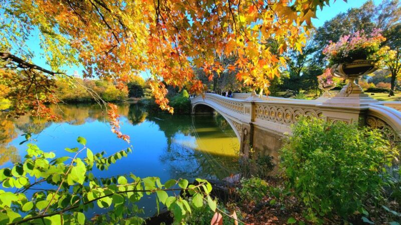 NYC: Central Park Secrets and Highlights Walking Tour - FAQ