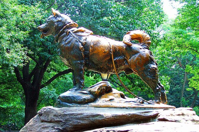 NYC Central Park Self-Guided Walking Tour - Authentic Experiences and Visitor Feedback