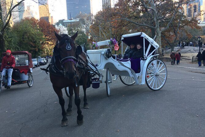 NYC Central Park VIP Horse and Carriage Ride - FAQs