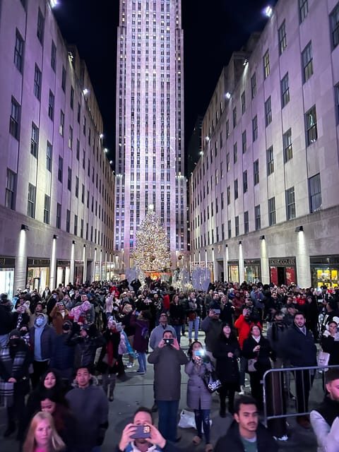 NYC: Christmas Lights Horse Carriage Ride - A Cozy Cruise Through NYC’s Holiday Lights