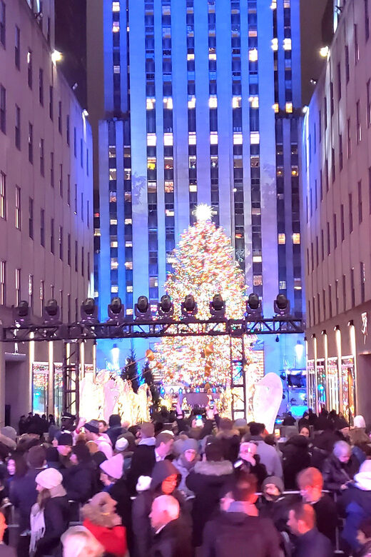 NYC: Christmas Lights Horse Carriage Ride - Authentic Experiences and Guest Feedback