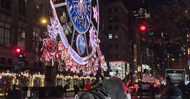 NYC: Christmas Lights Horse Carriage Ride - Practical Tips for Your Ride