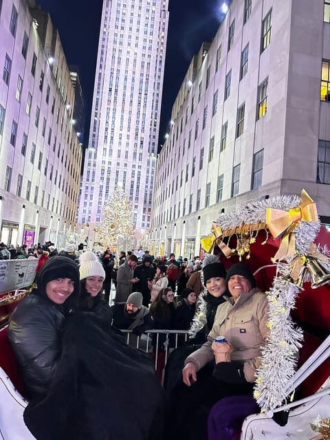 NYC: Christmas Lights Horse Carriage Ride - Who This Tour Is Perfect For