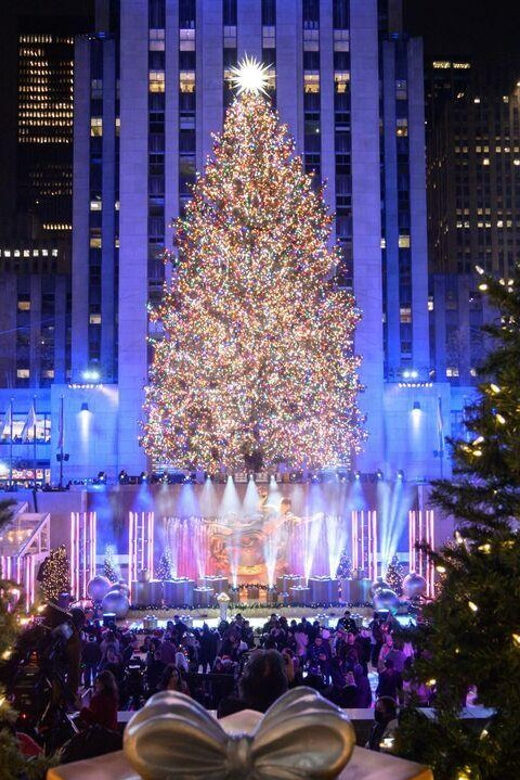 NYC: Dyker Heights and NYC Holiday Lights Luxury Bus Tour - What the Reviews Say