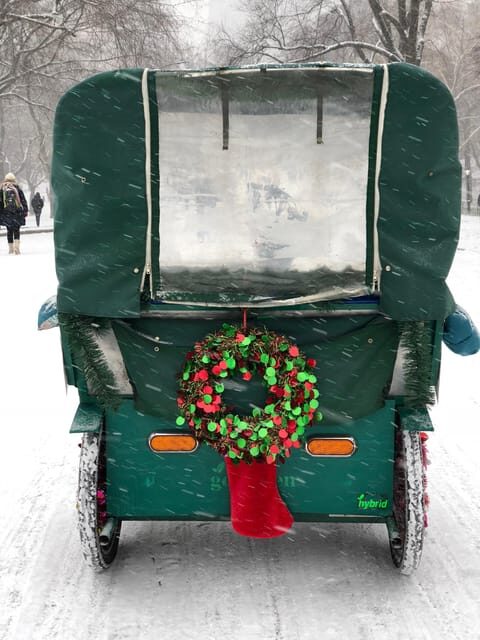 NYC: Elf & Home Alone 2 Locations Central Park Pedicab Tour - Who Should Consider This Tour?