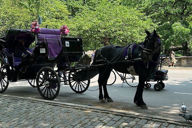 NYC Empire State Horses Carriage Ride in Central Park (45 Mins) - Why Choose the Central Park Horse Carriage Ride?