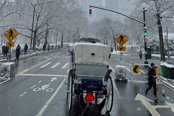 NYC Empire State Horses Carriage Ride in Central Park (45 Mins) - Authentic Experiences and Traveler Feedback
