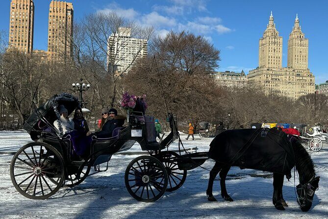 NYC Empire State Horses Carriage Ride in Central Park (45 Mins) - The Sum Up