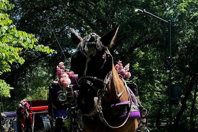 NYC Empire State Horses Carriage Ride in Central Park (45 Mins) - FAQ