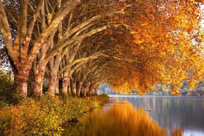 NYC Fall Foliage Cruise - An In-Depth Look at the NYC Fall Foliage Cruise