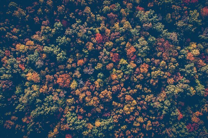 NYC Fall Foliage Cruise - Final Thoughts: Who Should Book?