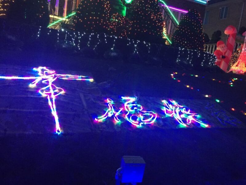 NYC | French guided tour of Christmas in Brooklyn - What’s Included and What’s Not