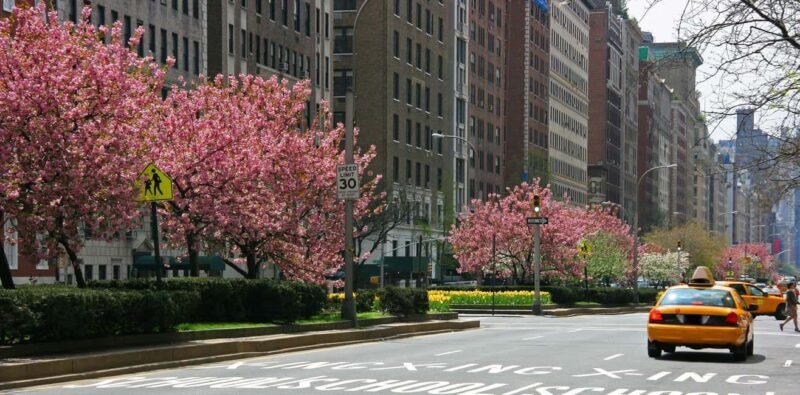 NYC: Guggenheim Ticket & Carnegie Hill Digital Tour - The Sum Up