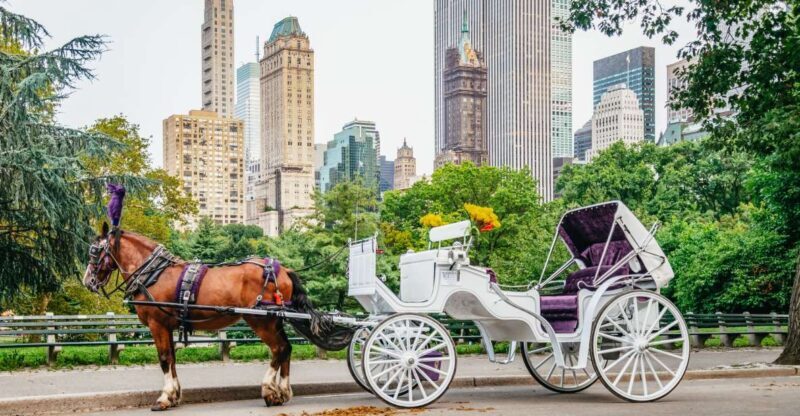 NYC: Guided Central Park Horse Carriage Ride - Authentic, Relaxed, and Informative — Who Will Love This Tour?