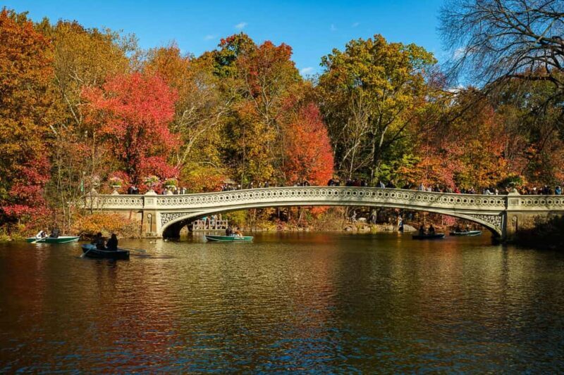 NYC: Guided Central Park Private Pedicab Tour - Transport, Timing, and Group Size