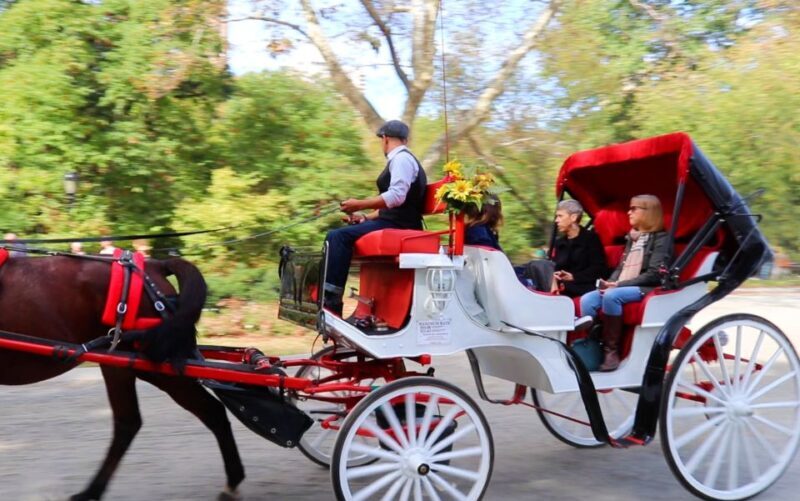 NYC: Guided Standard Central Park Carriage Ride (4 Adults) - An In-Depth Look at the Central Park Carriage Ride