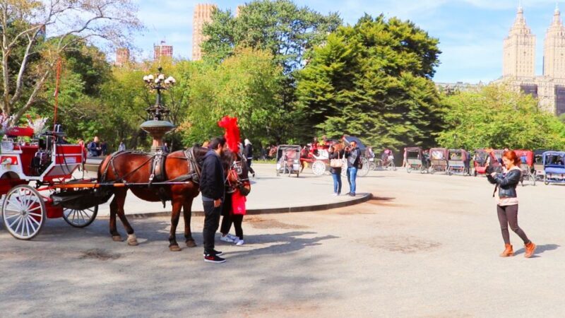 NYC: Guided Standard Central Park Carriage Ride (4 Adults) - The Sum Up: Is It Worth It?
