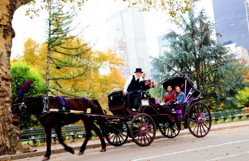 NYC: Guided Standard Central Park Carriage Ride (4 Adults) - FAQs