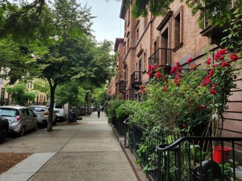 NYC: Harlem Guided Walking Tour - FAQs