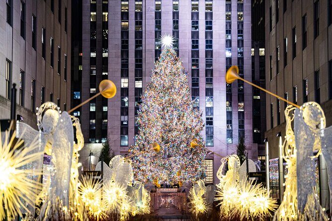 NYC Holiday Lights and Dyker Heights Luxury Bus Tour - NYC Holiday Lights and Dyker Heights Luxury Bus Tour: A Festive Guide