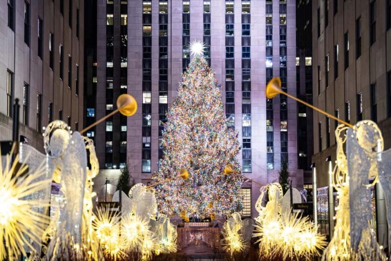 NYC: Holiday Lights and Dyker Heights Luxury Bus Tour - Key Points