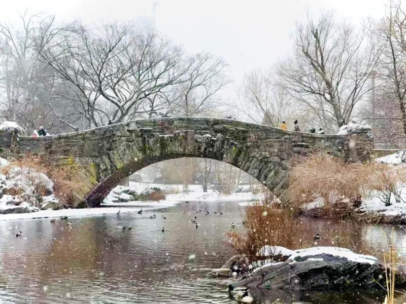 NYC: Home Alone 2 & Elf Locations Tour in Central Park Tour - What Makes This Tour Special?