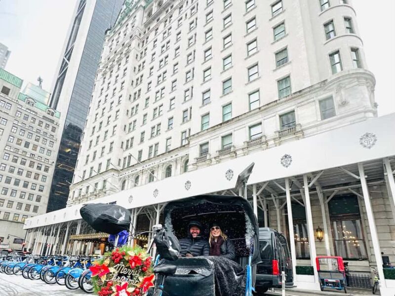 NYC: Home Alone 2 & Elf Locations Tour in Central Park Tour - Practical Considerations
