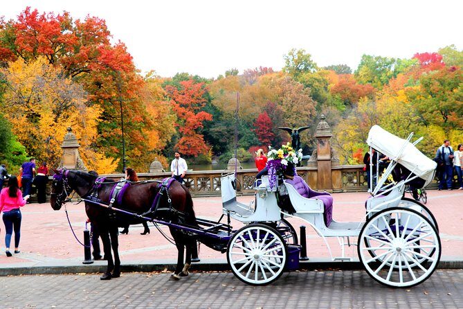 NYC Horse Carriage Ride in Central Park (50 Min. Up to 4 Adults) - Practical Details and Why They Matter