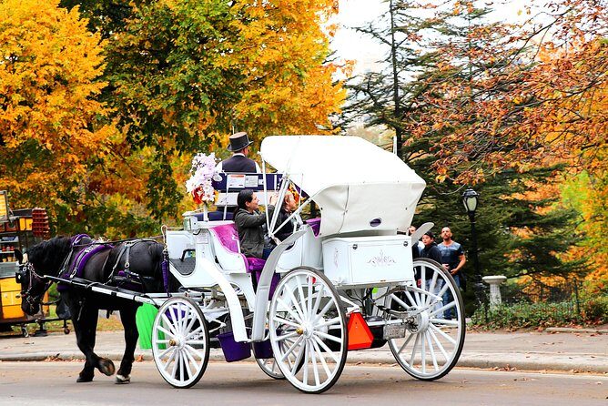 NYC Horse Carriage Ride in Central Park (50 Min. Up to 4 Adults) - Who Will Love This Experience?