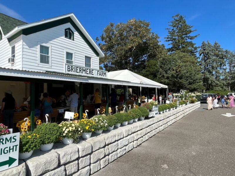 NYC: Long Island Sommelier-Guided Wine Tasting Tour - An Authentic Day in Long Island’s Wine Country