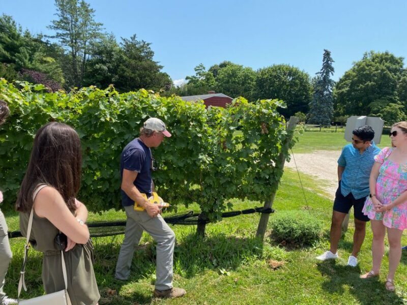 NYC: Long Island Sommelier-Guided Wine Tasting Tour - The Artisanal Lunch and Farm Market Stop