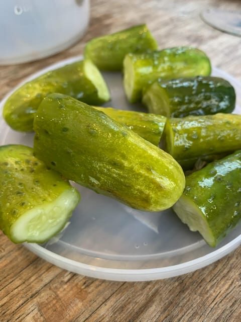 NYC: Lower East Side Walking and Food Tasting Tour - The Food: More Than Just a Snack
