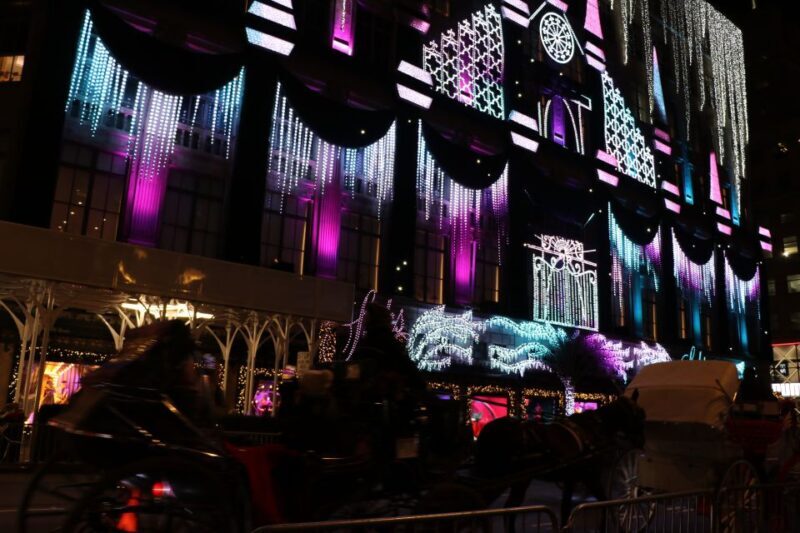 NYC: Magical Christmas Lights Carriage Ride - Final Thoughts