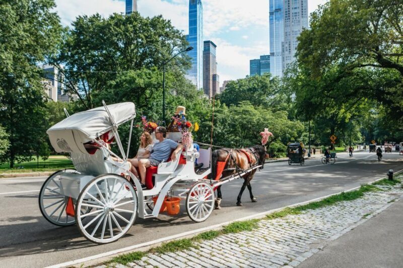 NYC MAGICAL NIGHT TIME RIDE Central Park/Rockefeller Center - The Real Experience: What Past Travelers Say