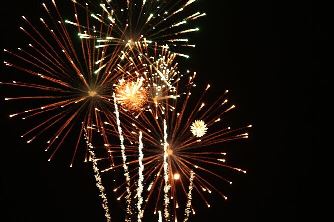 NYC New Years Eve Fireworks Cruise & Plated Dinner, Open Bar - Who Would Love This Experience?