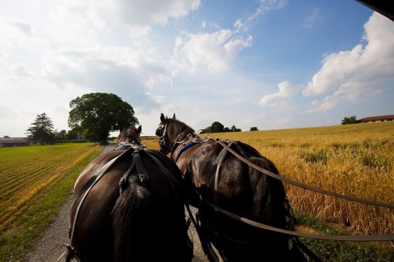 NYC: Philadelphia, Washington DC & Amish Country 2-Day Tour - The Itinerary in Detail: What You Can Expect