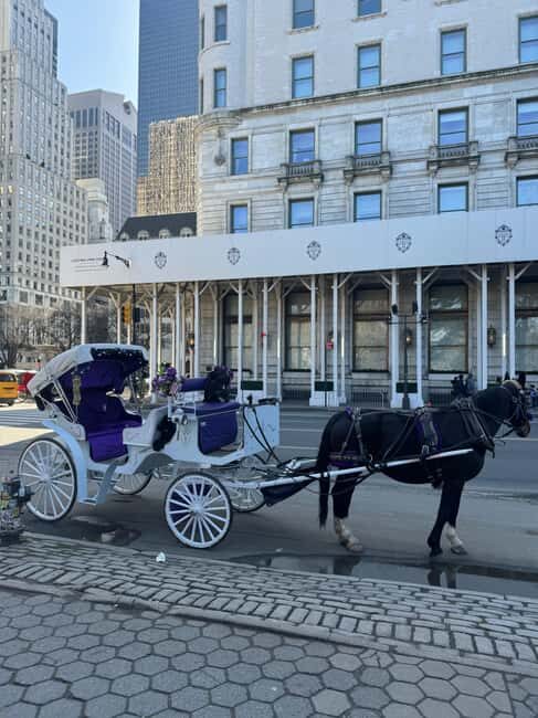 NYC: Private Central Park and NYC City Tour - An In-Depth Look at This Central Park Carriage Tour
