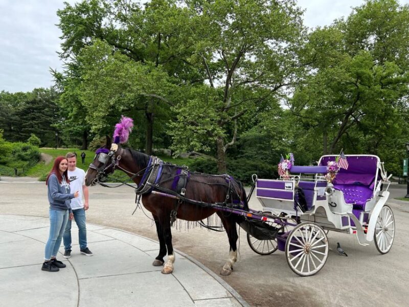 NYC: Private Central Park Horse Carriage Ride with Guide - An Authentic, Nostalgic Ride Through Central Park
