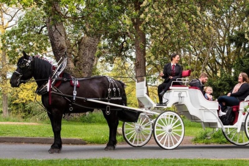 NYC: Private Central Park Horse Carriage Ride with Guide - Comfort and Practicalities