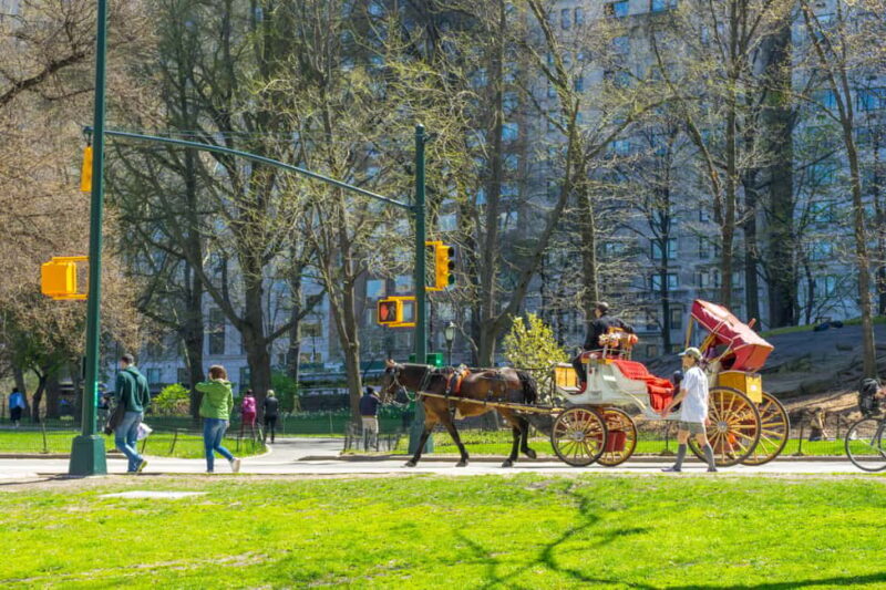 NYC Private Central Park Horse Carriage Ride with Guide - What to Expect on Your Central Park Carriage Ride