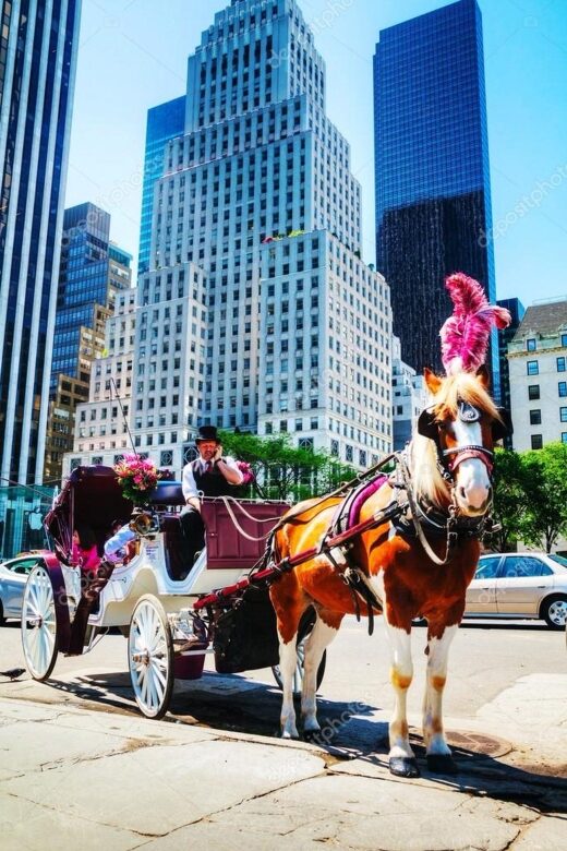 NYC Private Central Park Horse Carriage Ride with Guide - The Reviews and Real Travelers’ Impressions