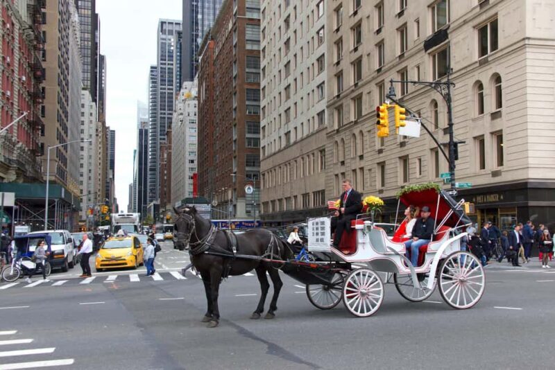 NYC Private Central Park Horse Carriage Ride with Guide - Who Is This Experience For?
