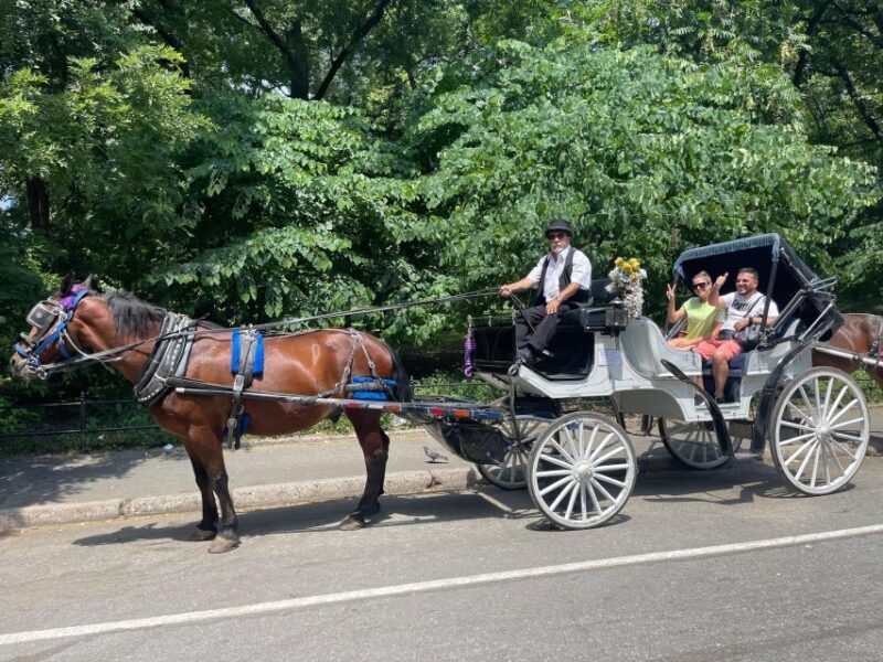 NYC Private Central Park Horse Carriage Ride with Guide - The Sum Up