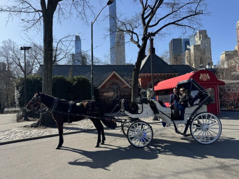 NYC Private Central Park Horse Carriage Ride with Guide - FAQ
