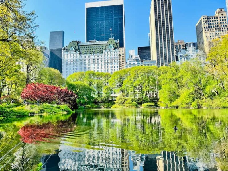 NYC: Private Central Park Pedicab Tours / PICKUP FROM MUSEUM - Key Points