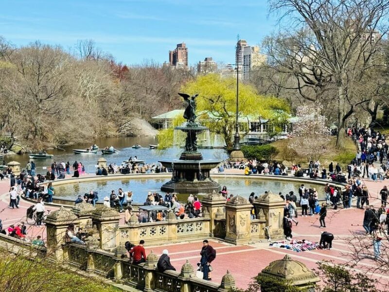 NYC: Private Central Park Pedicab Tours / PICKUP FROM MUSEUM - The Experience from the Reviews