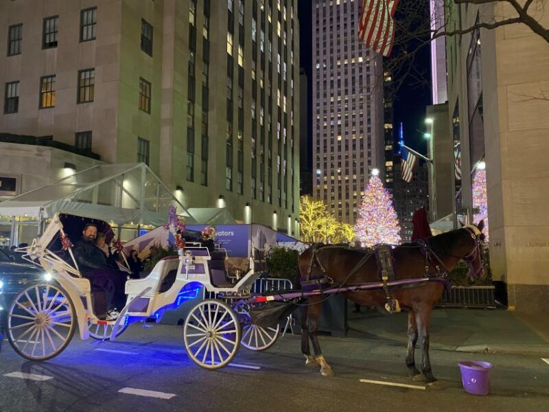 NYC: Private Christmas Lights Horse Carriage Ride - What to Expect from the Festive Horse Carriage Ride